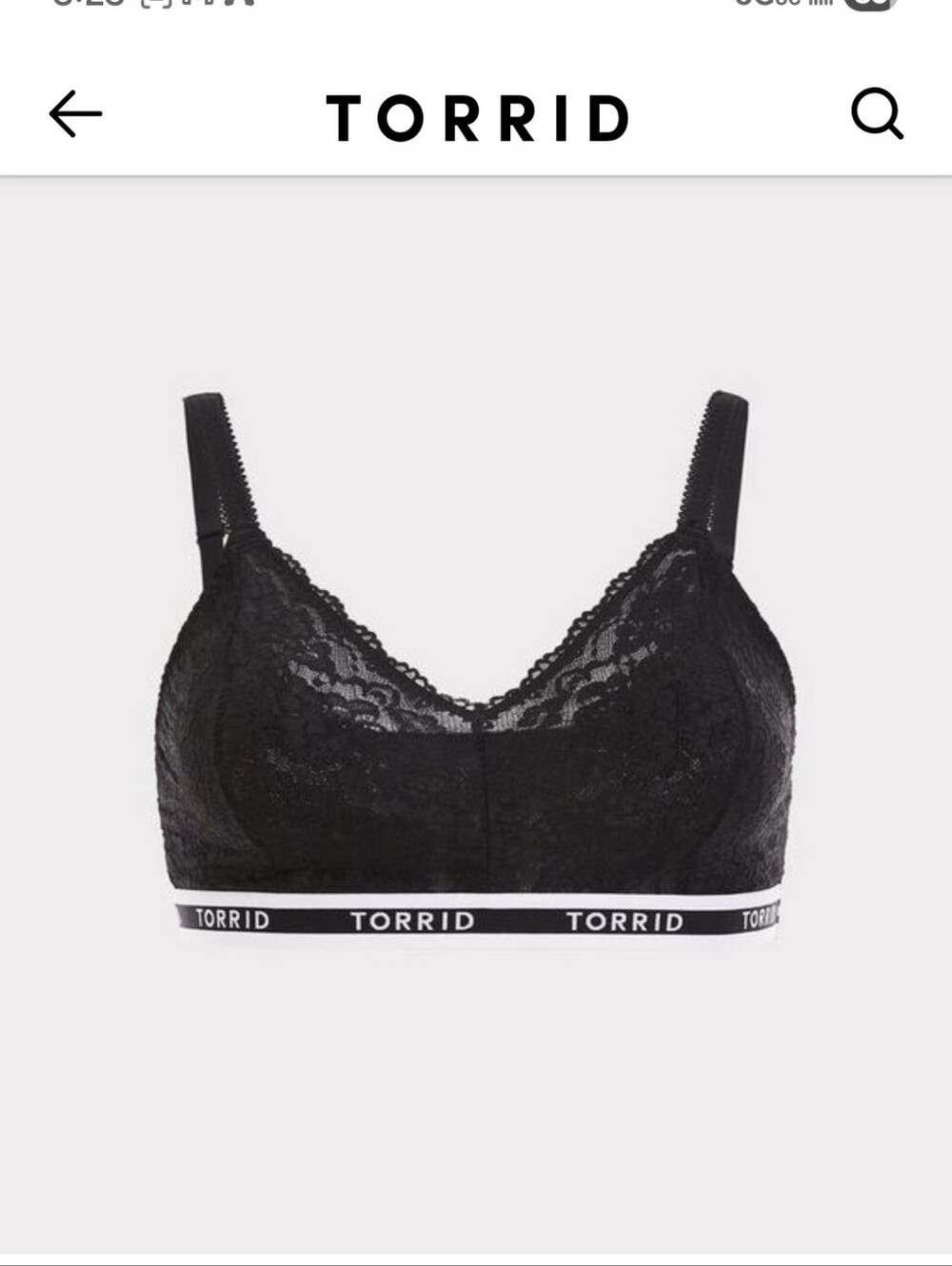 torrid Black Lace Bralette with Branded Elastic Band